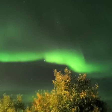 Aurora Rooms In Shared Apartment Nr1 We Are Doing Privet Northen Light Trip, Reindeer Trip And Sommaroy Fjord Trip 特罗姆瑟 外观 照片