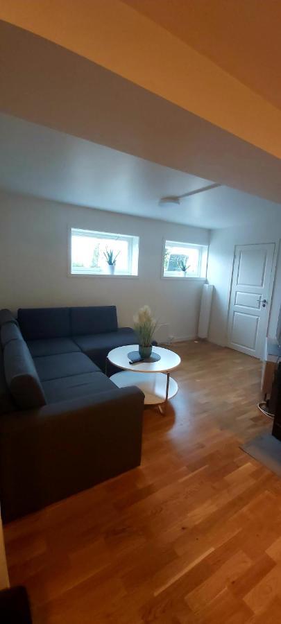 Aurora Rooms In Shared Apartment Nr1 We Are Doing Privet Northen Light Trip, Reindeer Trip And Sommaroy Fjord Trip 特罗姆瑟 外观 照片