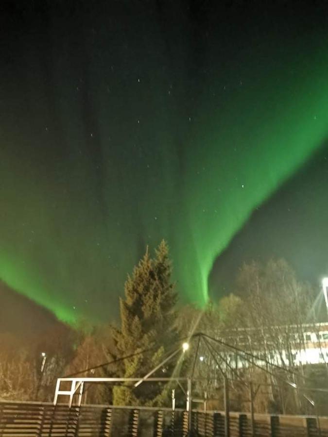Aurora Rooms In Shared Apartment Nr1 We Are Doing Privet Northen Light Trip, Reindeer Trip And Sommaroy Fjord Trip 特罗姆瑟 外观 照片