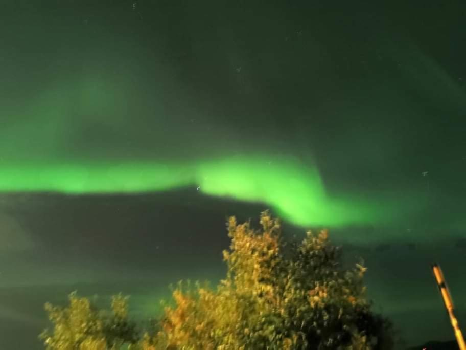 Aurora Rooms In Shared Apartment Nr1 We Are Doing Privet Northen Light Trip, Reindeer Trip And Sommaroy Fjord Trip 特罗姆瑟 外观 照片